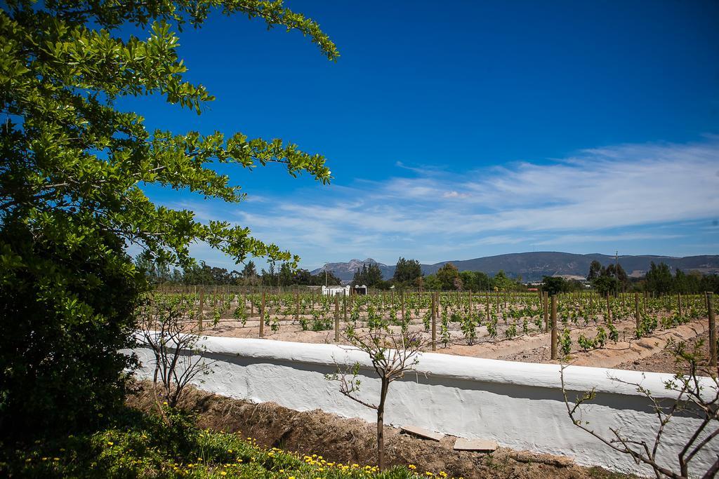 1692 De Kleijne Bos Country House Paarl Eksteriør billede
