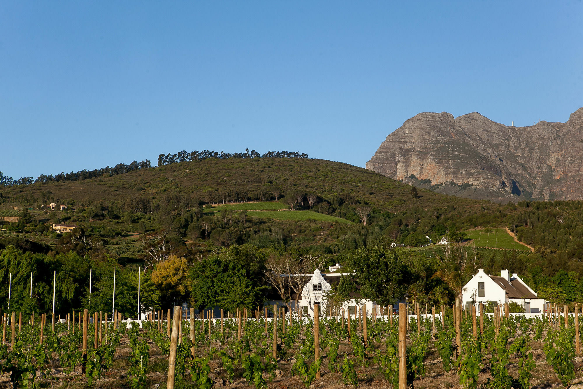 1692 De Kleijne Bos Country House Paarl Eksteriør billede