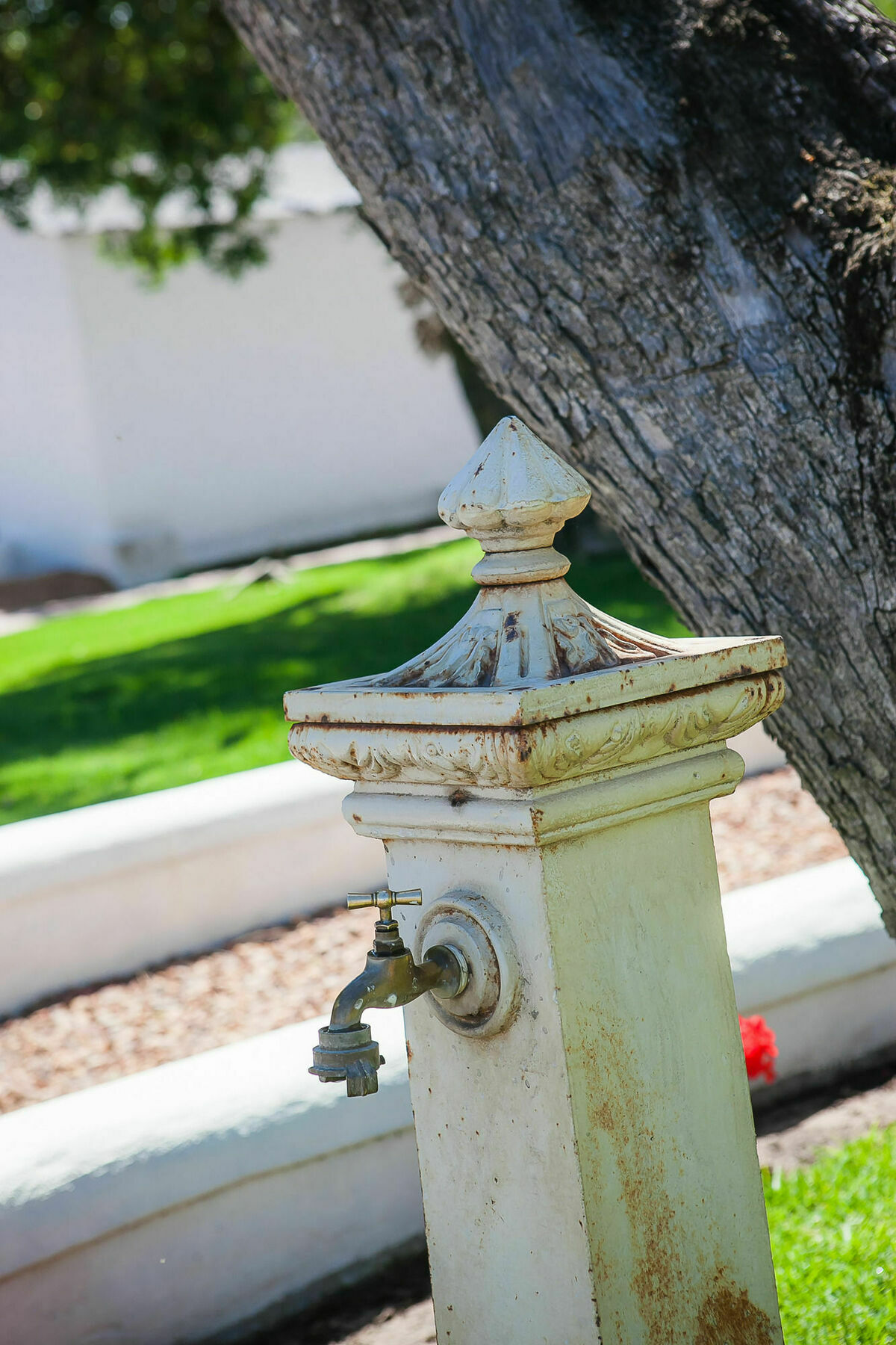 1692 De Kleijne Bos Country House Paarl Eksteriør billede