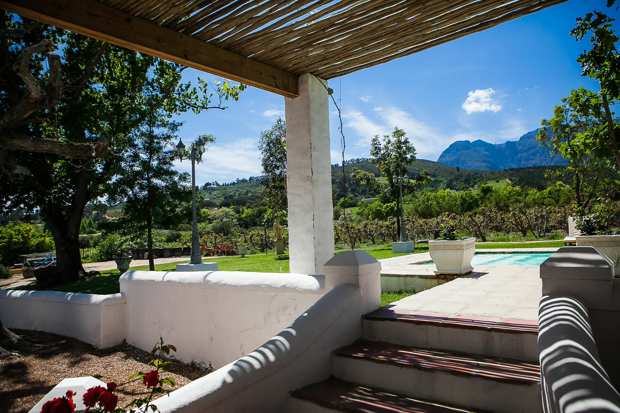 1692 De Kleijne Bos Country House Paarl Eksteriør billede