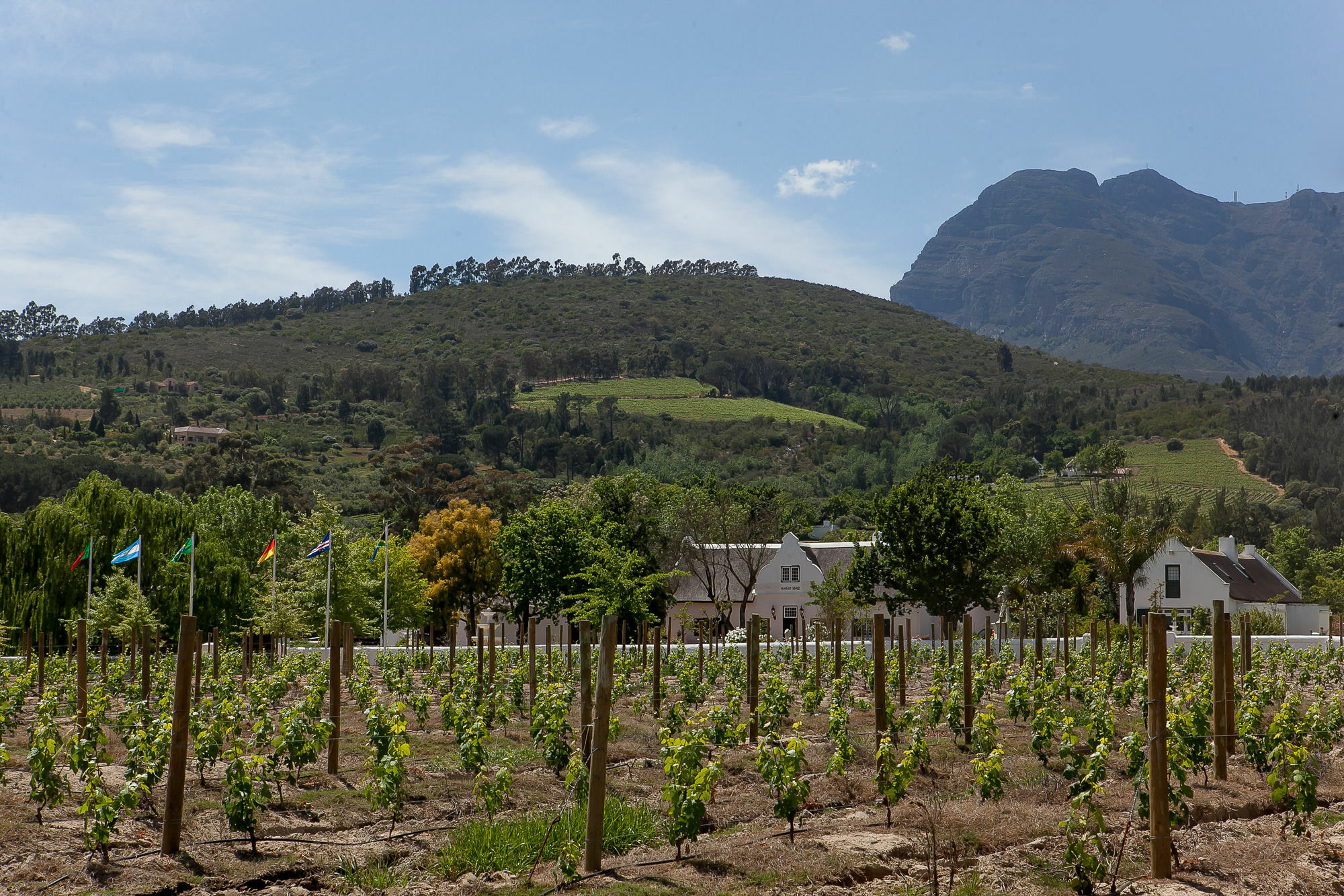 1692 De Kleijne Bos Country House Paarl Eksteriør billede