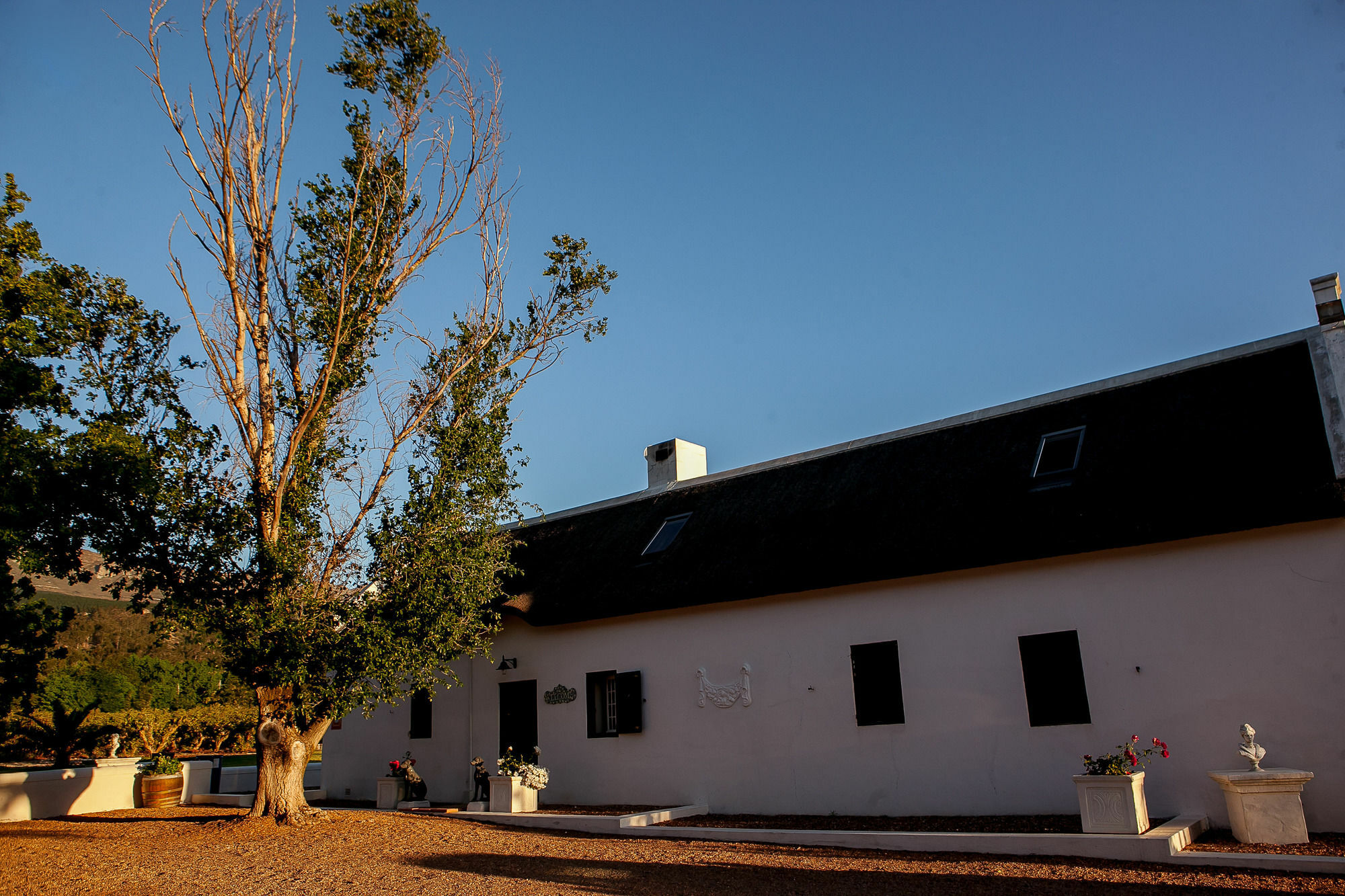 1692 De Kleijne Bos Country House Paarl Eksteriør billede